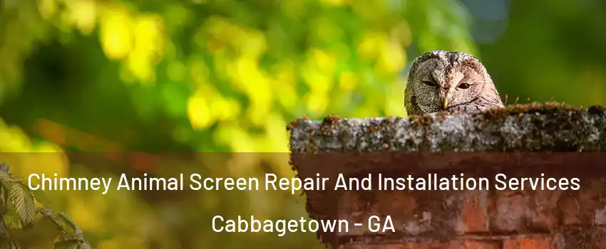 Chimney Animal Screen Repair And Installation Services Cabbagetown - GA