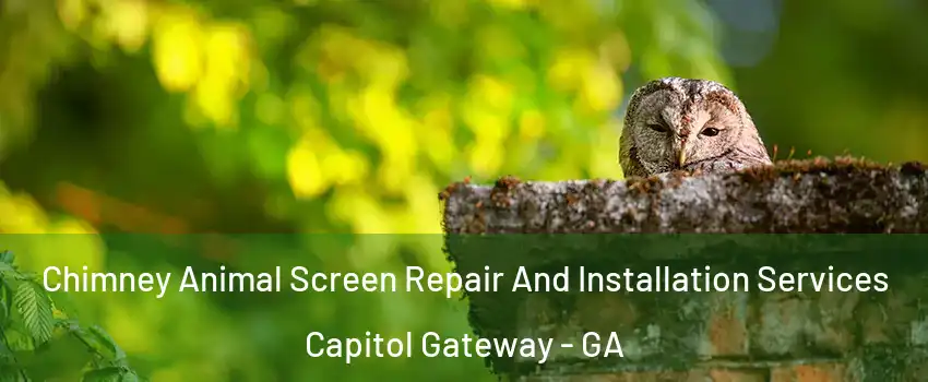 Chimney Animal Screen Repair And Installation Services Capitol Gateway - GA