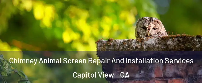Chimney Animal Screen Repair And Installation Services Capitol View - GA