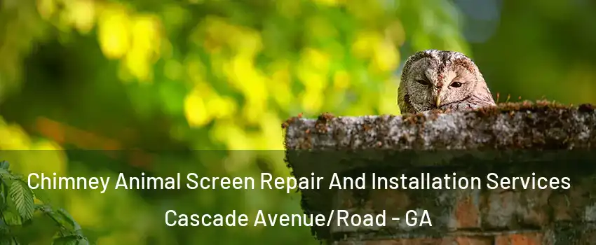 Chimney Animal Screen Repair And Installation Services Cascade Avenue/Road - GA