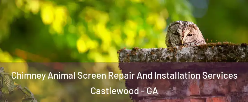 Chimney Animal Screen Repair And Installation Services Castlewood - GA