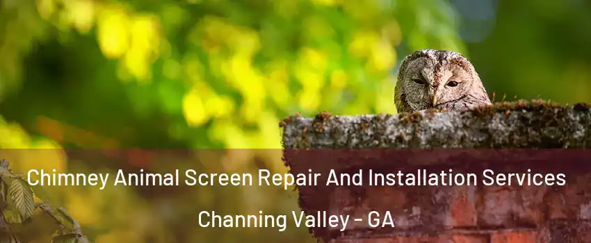Chimney Animal Screen Repair And Installation Services Channing Valley - GA