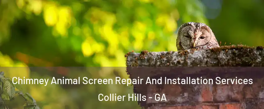 Chimney Animal Screen Repair And Installation Services Collier Hills - GA
