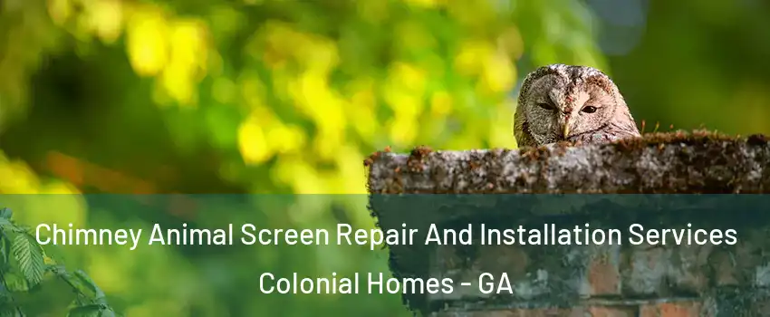 Chimney Animal Screen Repair And Installation Services Colonial Homes - GA