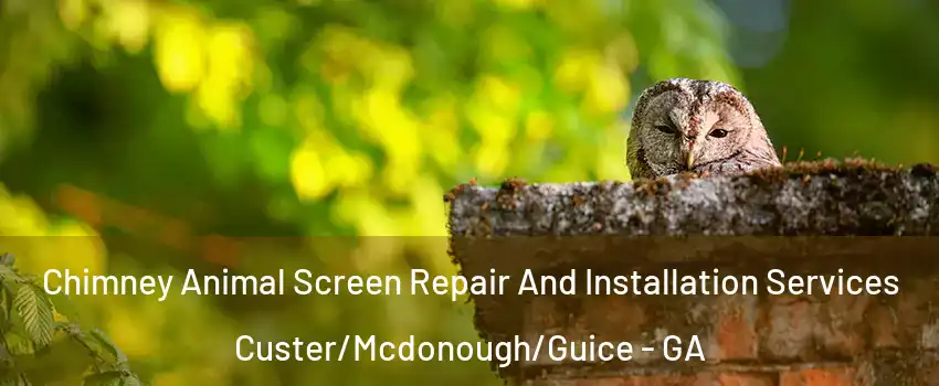 Chimney Animal Screen Repair And Installation Services Custer/Mcdonough/Guice - GA
