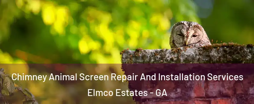 Chimney Animal Screen Repair And Installation Services Elmco Estates - GA
