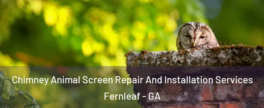 Chimney Animal Screen Repair And Installation Services Fernleaf - GA
