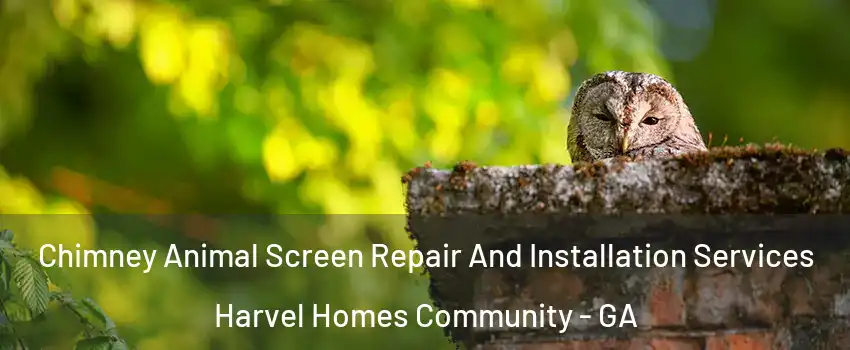 Chimney Animal Screen Repair And Installation Services Harvel Homes Community - GA