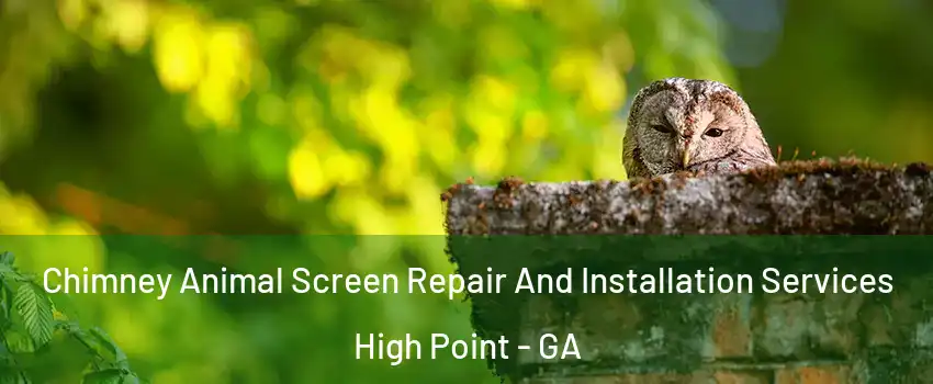 Chimney Animal Screen Repair And Installation Services High Point - GA