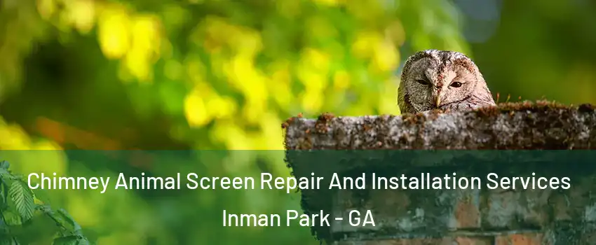 Chimney Animal Screen Repair And Installation Services Inman Park - GA
