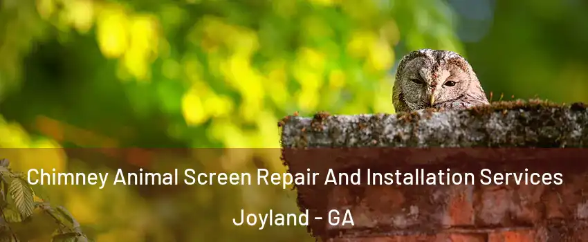 Chimney Animal Screen Repair And Installation Services Joyland - GA