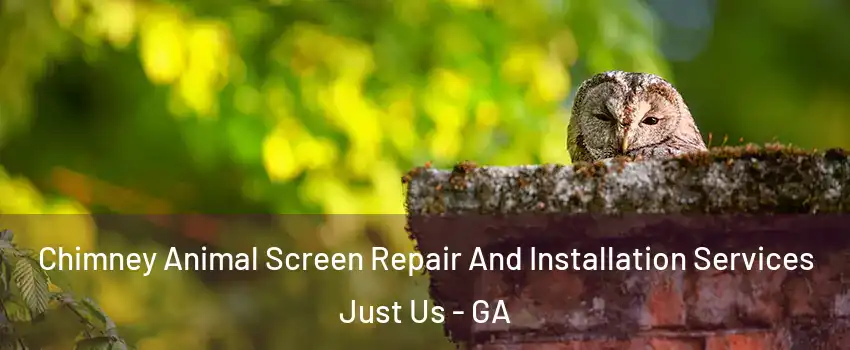 Chimney Animal Screen Repair And Installation Services Just Us - GA