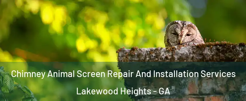Chimney Animal Screen Repair And Installation Services Lakewood Heights - GA