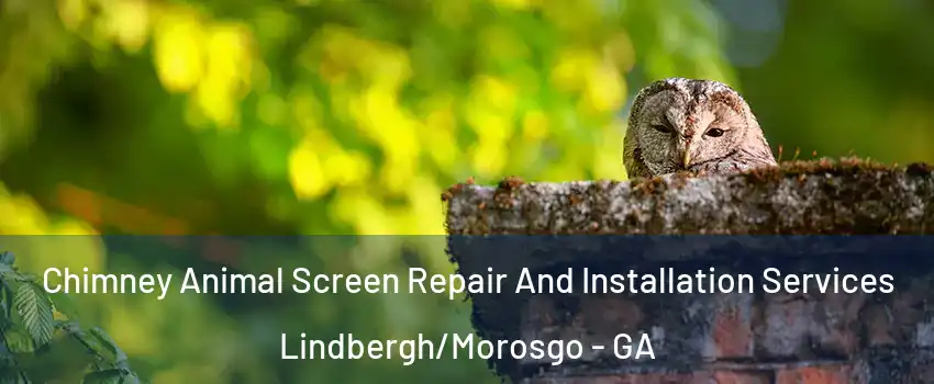 Chimney Animal Screen Repair And Installation Services Lindbergh/Morosgo - GA
