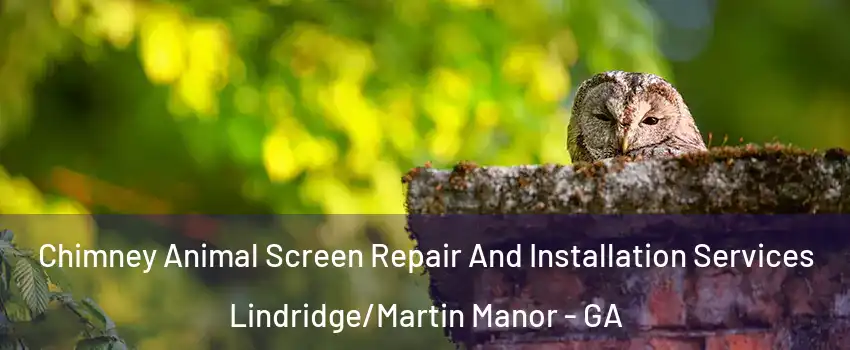 Chimney Animal Screen Repair And Installation Services Lindridge/Martin Manor - GA