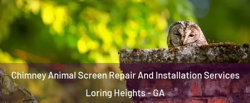 Chimney Animal Screen Repair And Installation Services Loring Heights - GA