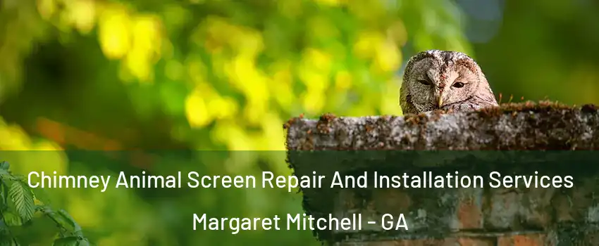 Chimney Animal Screen Repair And Installation Services Margaret Mitchell - GA