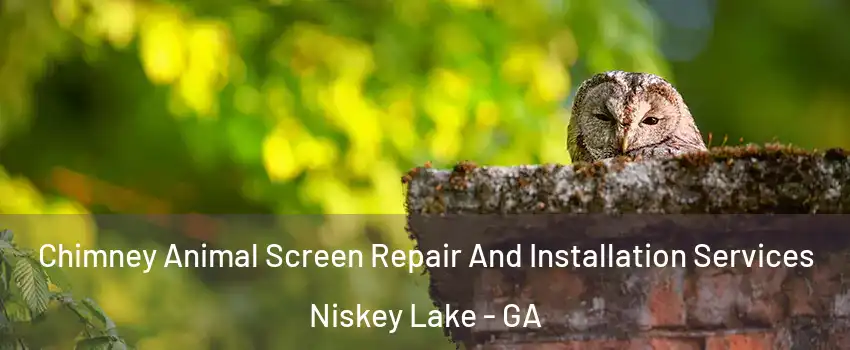 Chimney Animal Screen Repair And Installation Services Niskey Lake - GA