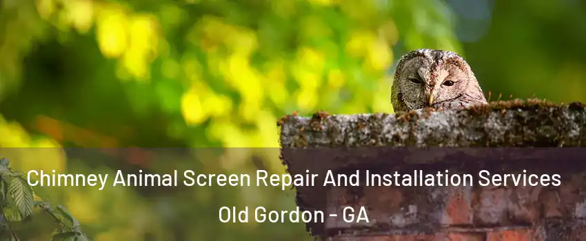 Chimney Animal Screen Repair And Installation Services Old Gordon - GA