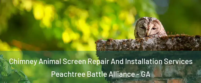 Chimney Animal Screen Repair And Installation Services Peachtree Battle Alliance - GA