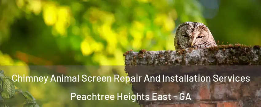 Chimney Animal Screen Repair And Installation Services Peachtree Heights East - GA
