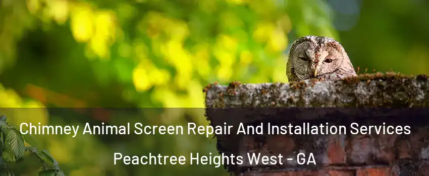 Chimney Animal Screen Repair And Installation Services Peachtree Heights West - GA