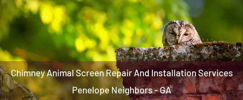 Chimney Animal Screen Repair And Installation Services Penelope Neighbors - GA