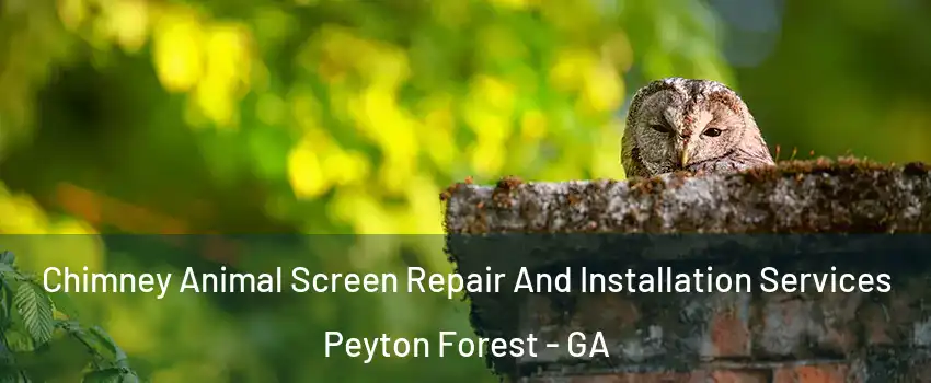 Chimney Animal Screen Repair And Installation Services Peyton Forest - GA