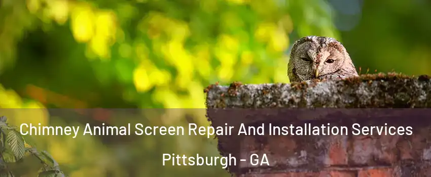 Chimney Animal Screen Repair And Installation Services Pittsburgh - GA