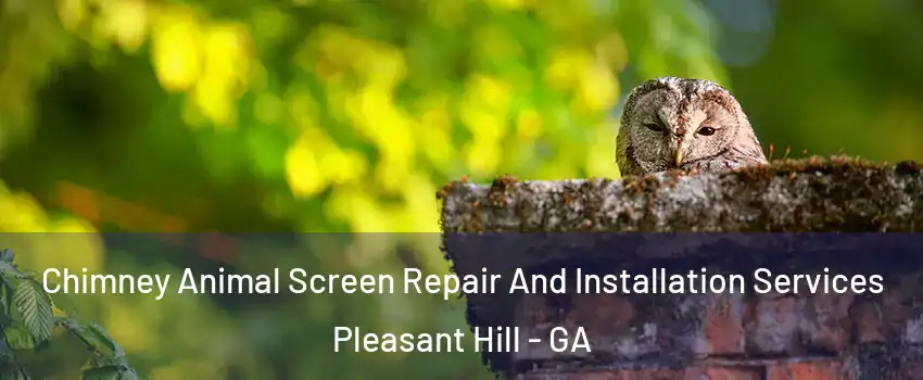 Chimney Animal Screen Repair And Installation Services Pleasant Hill - GA