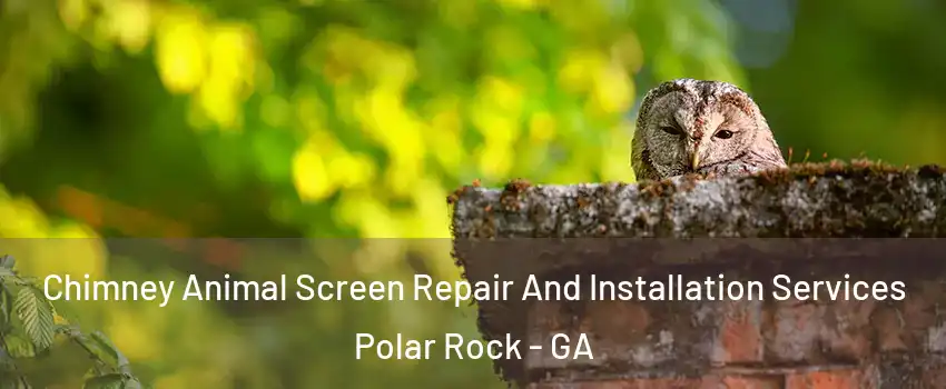 Chimney Animal Screen Repair And Installation Services Polar Rock - GA