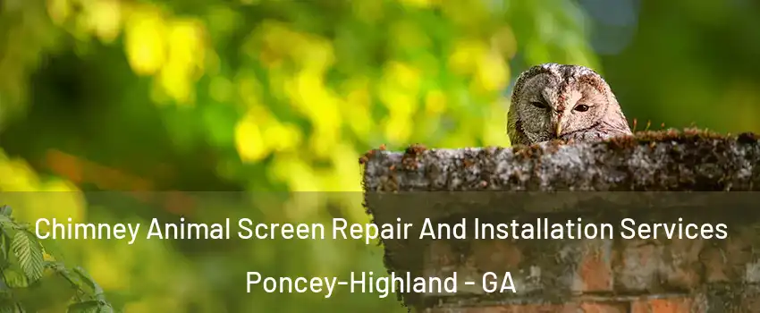 Chimney Animal Screen Repair And Installation Services Poncey-Highland - GA