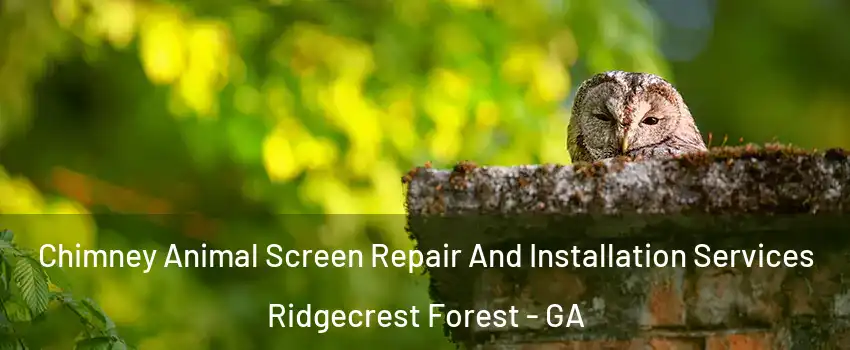 Chimney Animal Screen Repair And Installation Services Ridgecrest Forest - GA