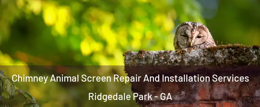Chimney Animal Screen Repair And Installation Services Ridgedale Park - GA