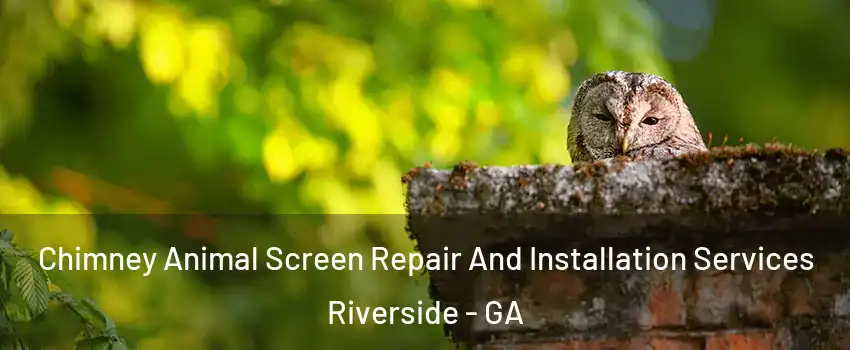 Chimney Animal Screen Repair And Installation Services Riverside - GA