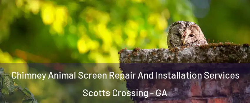 Chimney Animal Screen Repair And Installation Services Scotts Crossing - GA