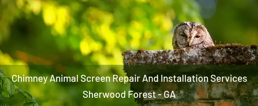 Chimney Animal Screen Repair And Installation Services Sherwood Forest - GA