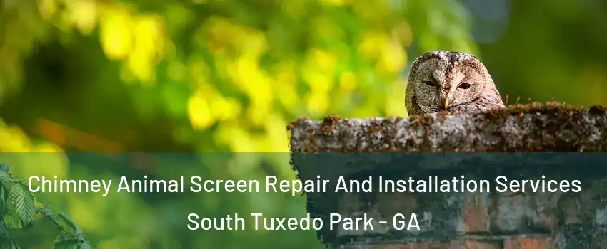 Chimney Animal Screen Repair And Installation Services South Tuxedo Park - GA