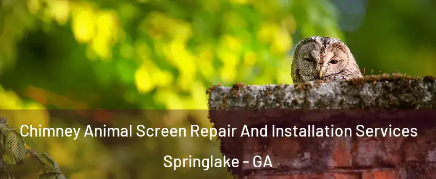 Chimney Animal Screen Repair And Installation Services Springlake - GA