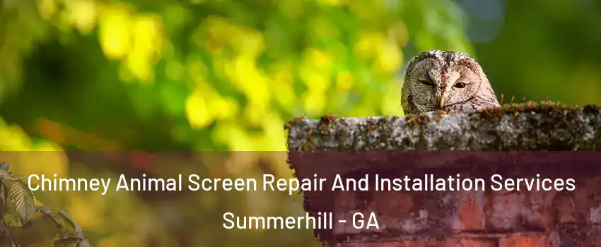 Chimney Animal Screen Repair And Installation Services Summerhill - GA