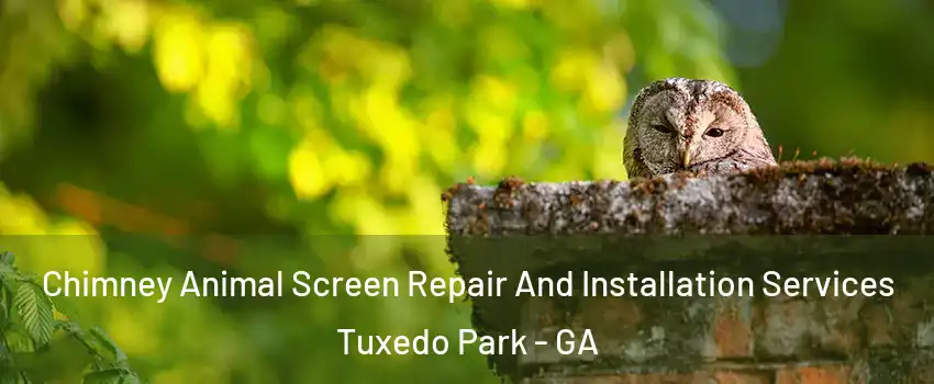 Chimney Animal Screen Repair And Installation Services Tuxedo Park - GA