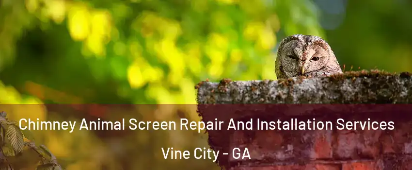Chimney Animal Screen Repair And Installation Services Vine City - GA
