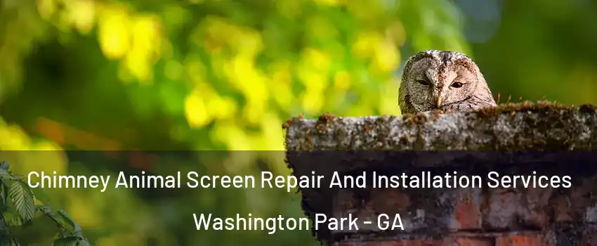Chimney Animal Screen Repair And Installation Services Washington Park - GA