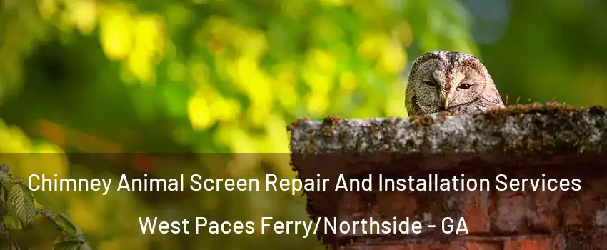 Chimney Animal Screen Repair And Installation Services West Paces Ferry/Northside - GA