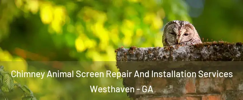Chimney Animal Screen Repair And Installation Services Westhaven - GA