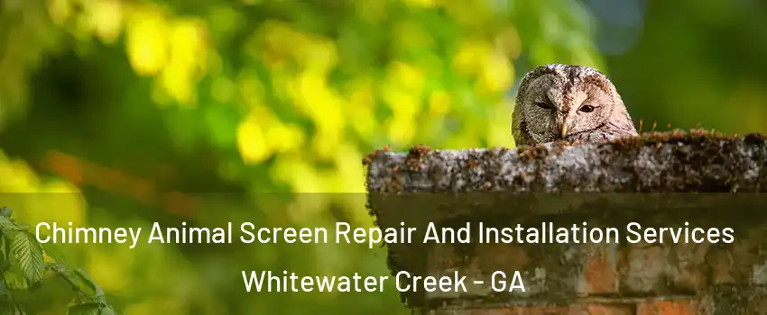 Chimney Animal Screen Repair And Installation Services Whitewater Creek - GA