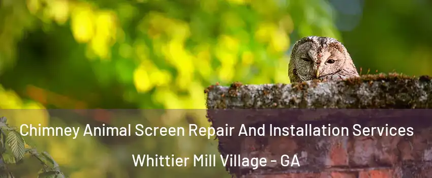 Chimney Animal Screen Repair And Installation Services Whittier Mill Village - GA