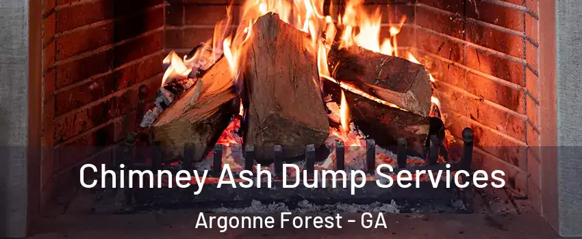 Chimney Ash Dump Services Argonne Forest - GA