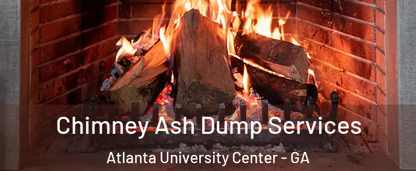 Chimney Ash Dump Services Atlanta University Center - GA