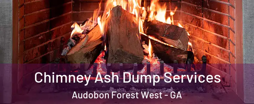 Chimney Ash Dump Services Audobon Forest West - GA